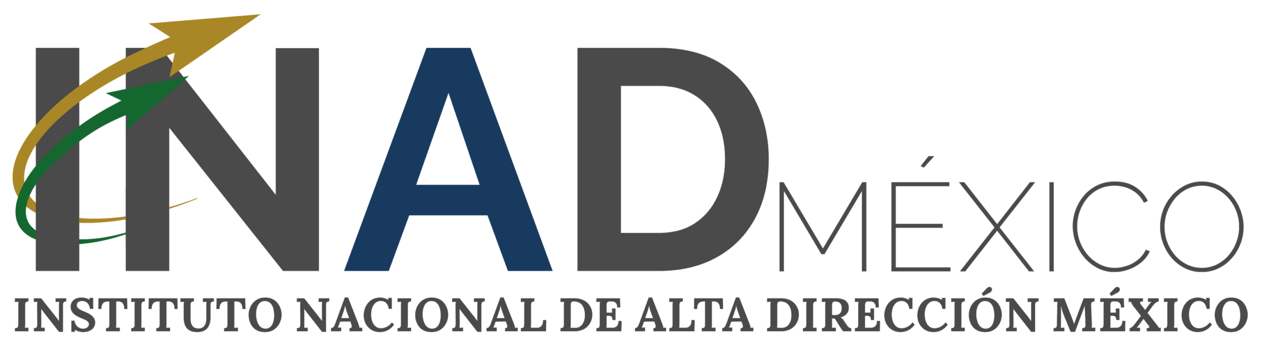 INSTITUTO NACIONAL DE ALTA DIRECCIÓNMÉXICO